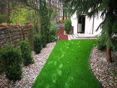 TREELOGIC Usługi Ogrodnicze Sebastian Wanat